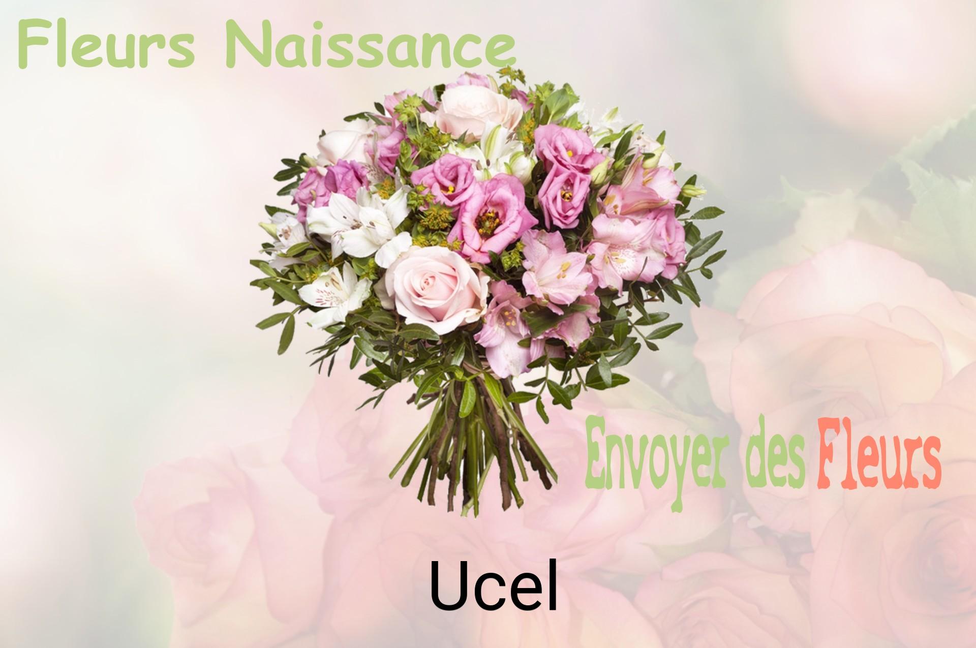 Bouquet de fleurs de naissance livré à Ucel
