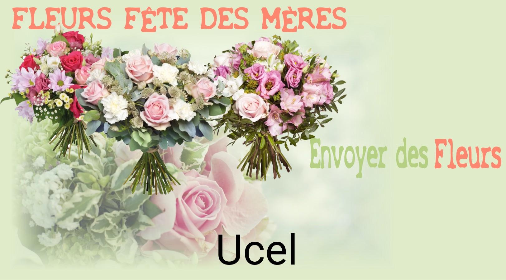 Bouquet de Fête des Mères livré à Ucel